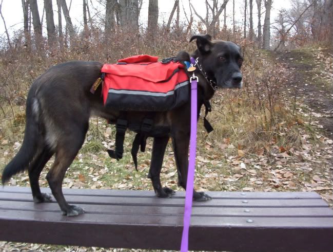 kelty k9 chuckwagon