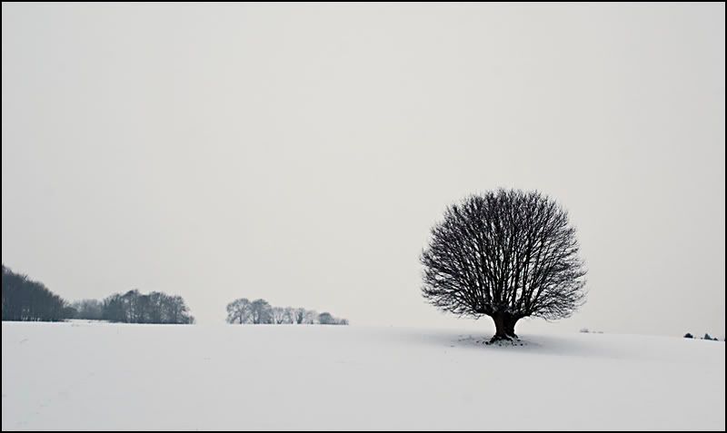 Fotografie