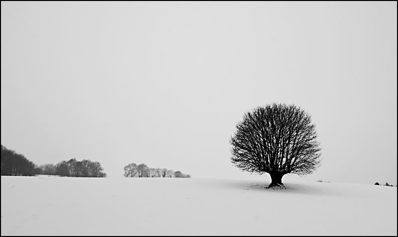 Fotografie