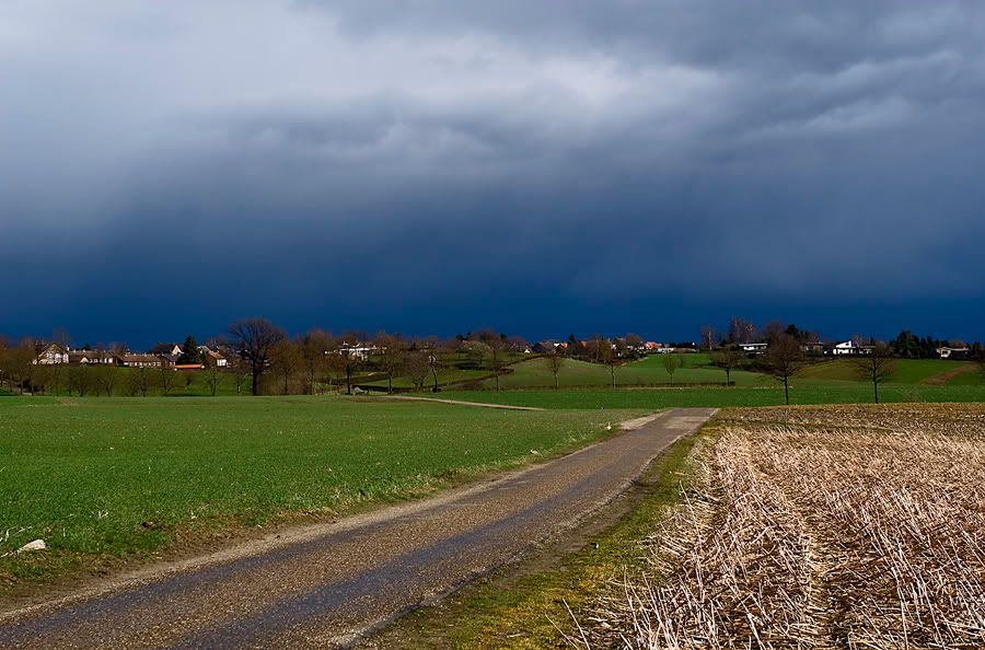 Fotografie