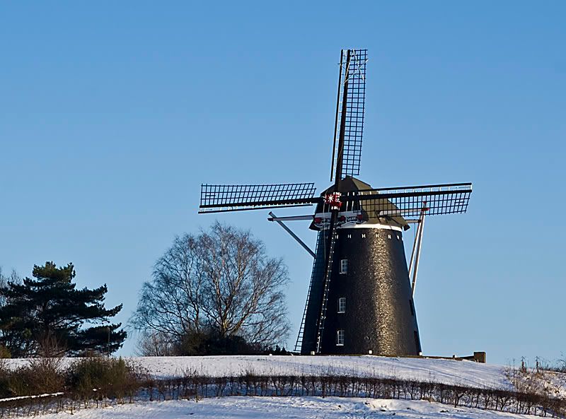Fotografie
