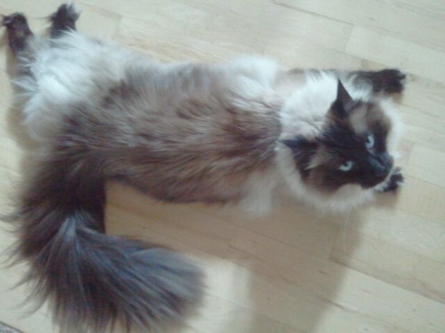 2012-11-09_115939.jpg
