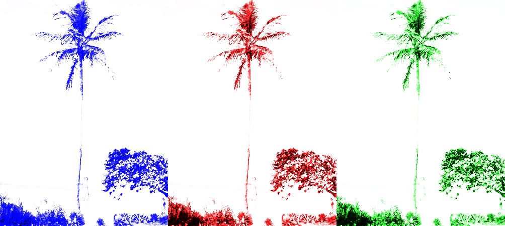 colors