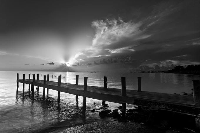 DavidPearcePhotography-NatureL10.jpg
