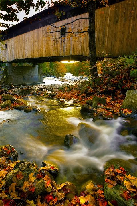 DavidPearcePhotography-NatureL11.jpg