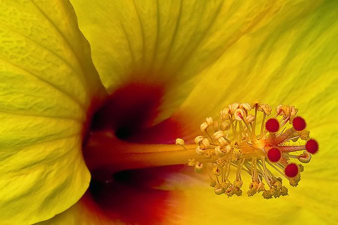 DavidPearcePhotography-NatureL23.jpg