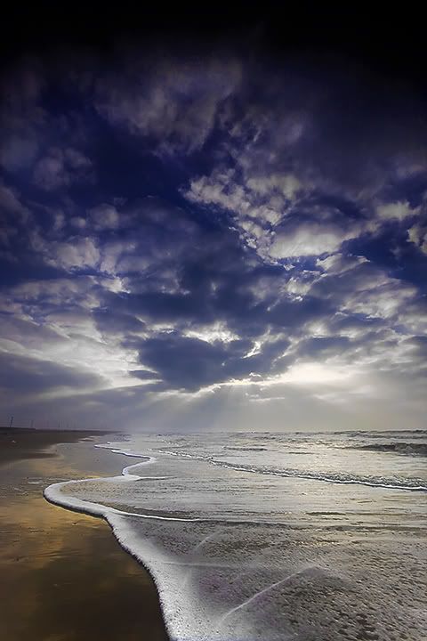 DavidPearcePhotography-NatureL25.jpg