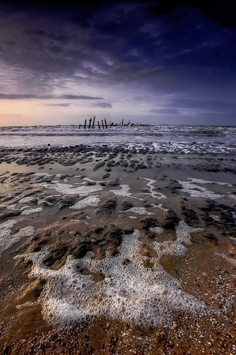 DavidPearcePhotography-NatureL26.jpg