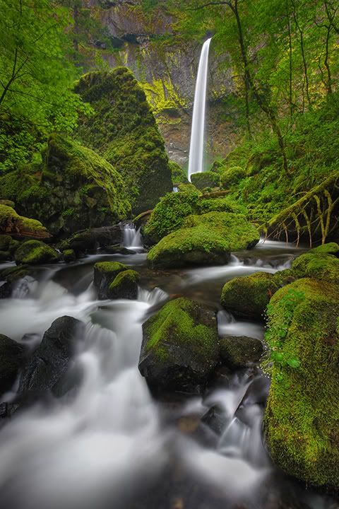 DavidPearcePhotography-NatureL31.jpg