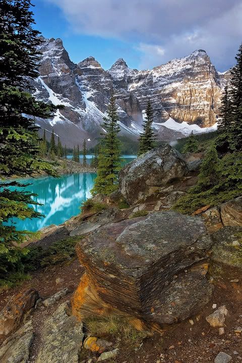 DavidPearcePhotography-NatureL4.jpg