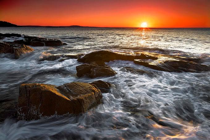 DavidPearcePhotography-NatureL5.jpg