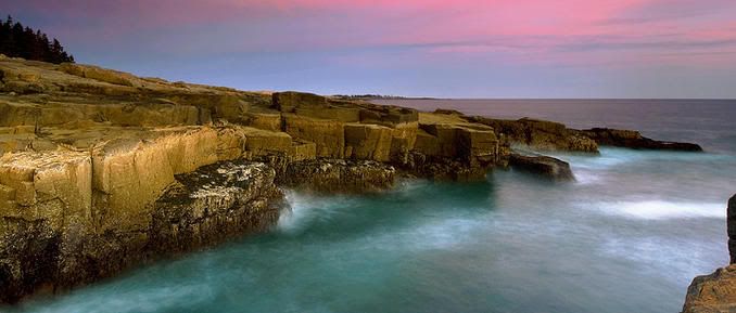 DavidPearcePhotography-NatureL7.jpg