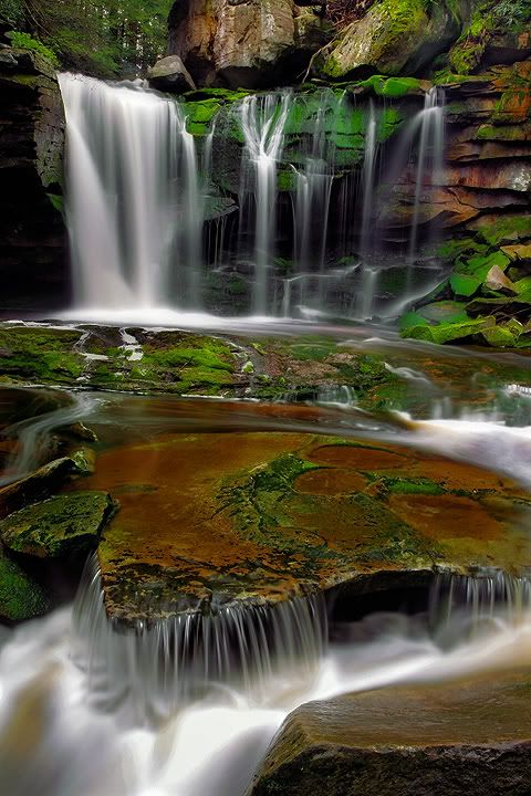 DavidPearcePhotography-NatureL8.jpg