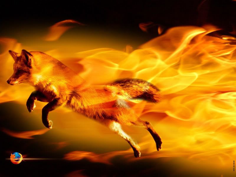 FireFox.jpg