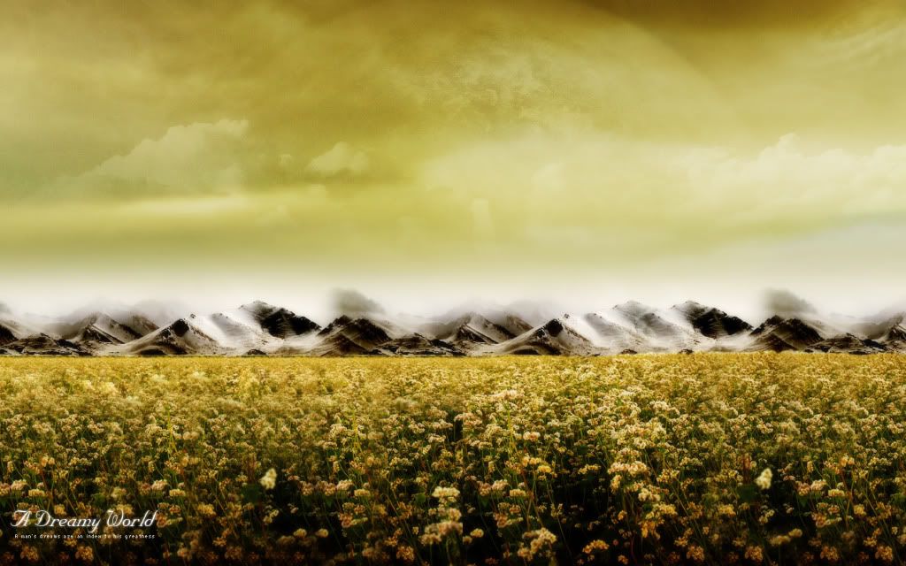 1680x1050WideWallsCAPARU05.jpg