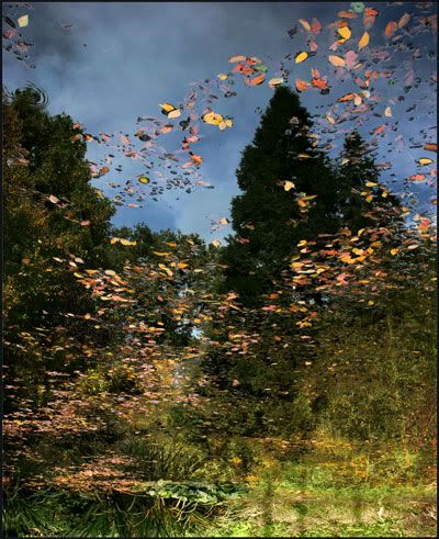 Panaroma32.jpg