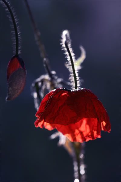 Panaroma48.jpg