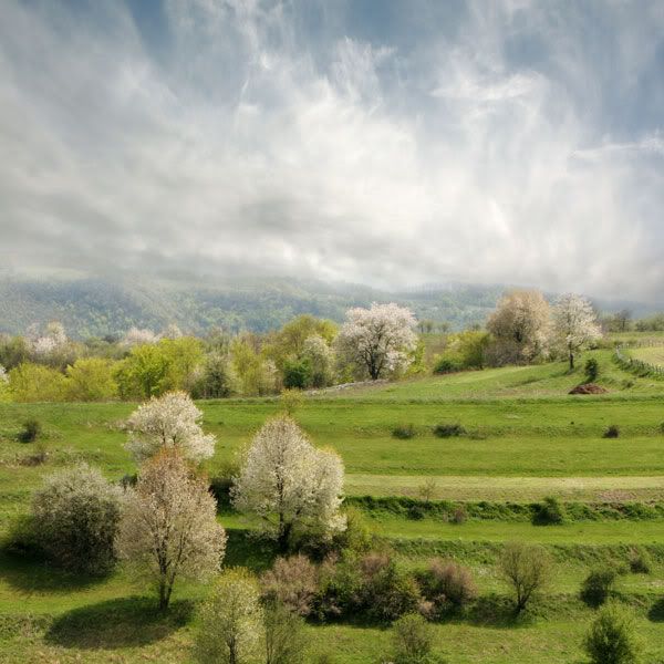 Panaroma55-1.jpg