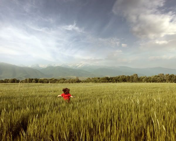 Panaroma57-1.jpg