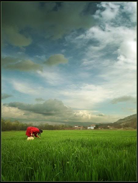 Panaroma6-1.jpg