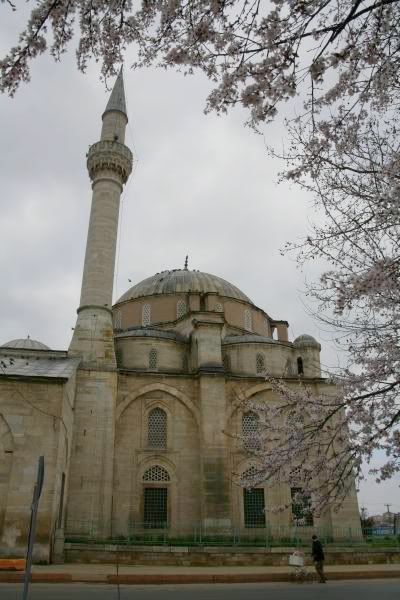 SemizAliPashaMosque1.jpg