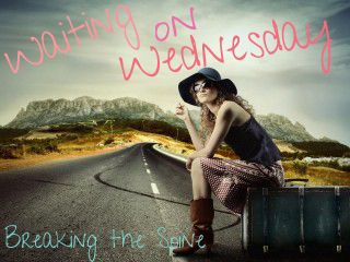 Waiting on Wednesday photo WaitingonWednesday_zpsb6685140.jpg