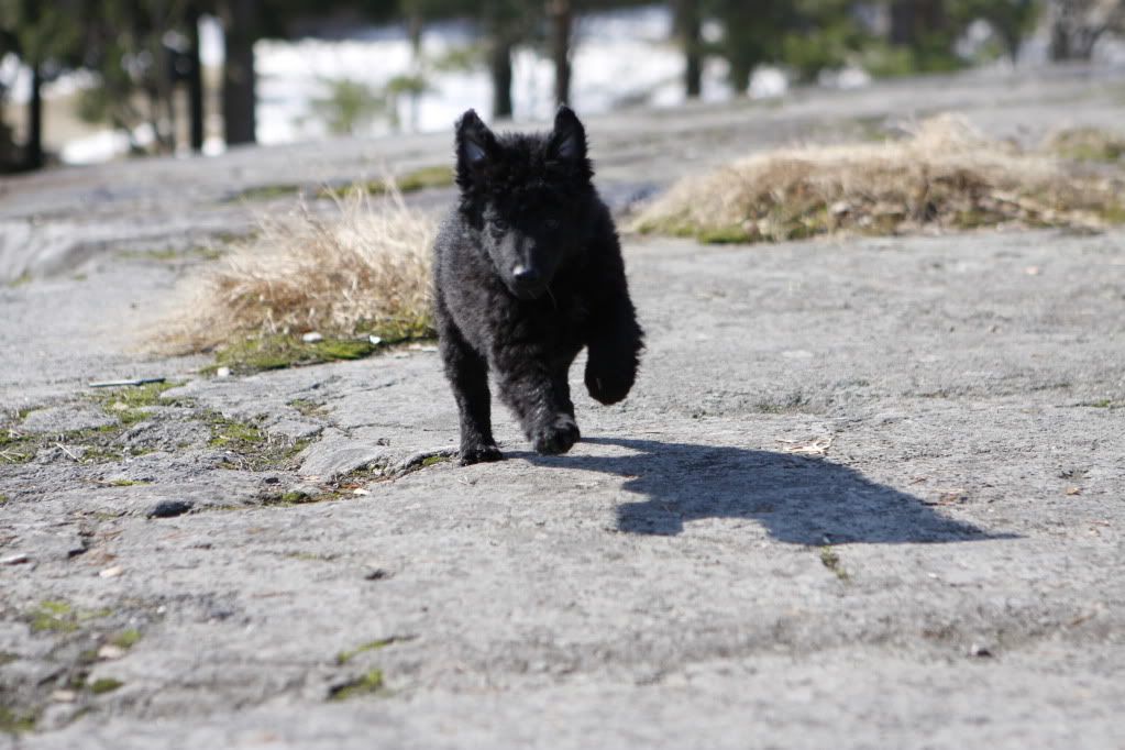 _MG_1566.jpg