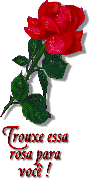 flores8.gif