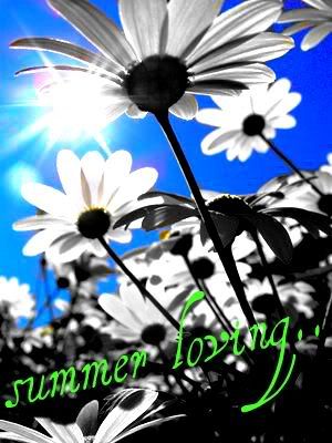 summer flowers photo: summer flower_picnik.jpg