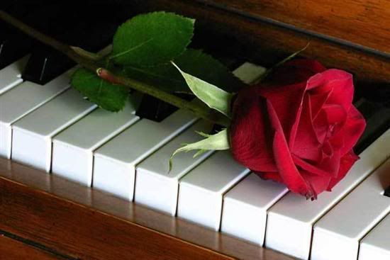PIANO MUSIC AND ROSE ~ KIM KEHALA MUSIC