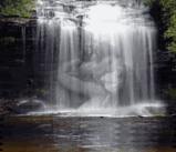 LOVERS IN WATERFALL ~ KIM KEHALA MUSIC Pictures, Images and Photos