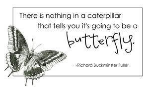 butterfly.jpg