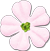 flower-for-promo-1.png