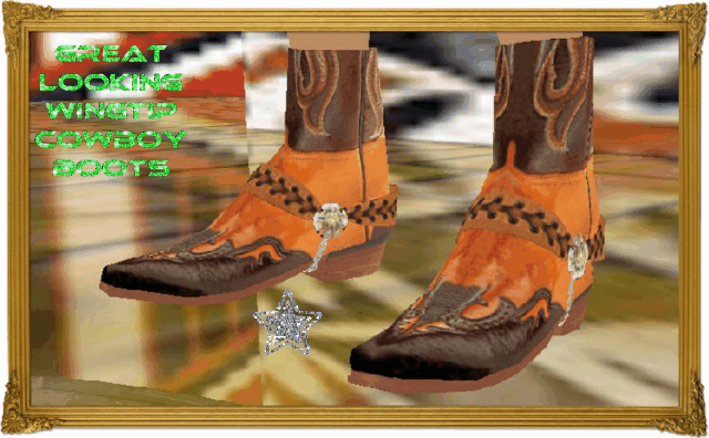 CB Cowboy Boots IV