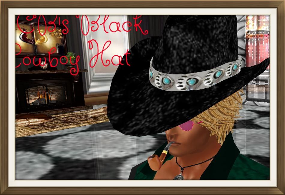 CB Black Cowboy Hat photo CBBlackCowboyHatB_zps360012d3.jpg
