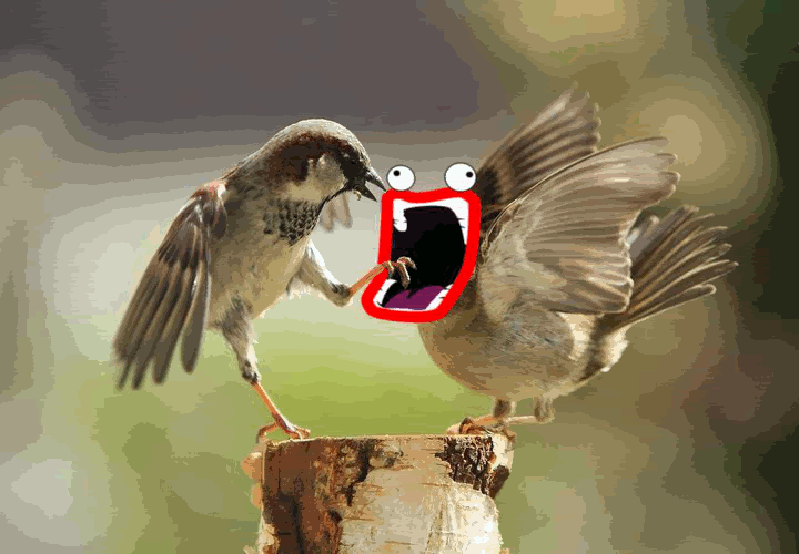 SHoopDaWHoop.gif
