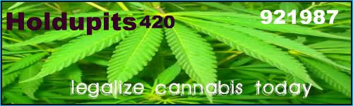 cannabis_story_500x500_t350.jpg