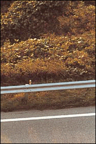 1_cola71a-1.gif