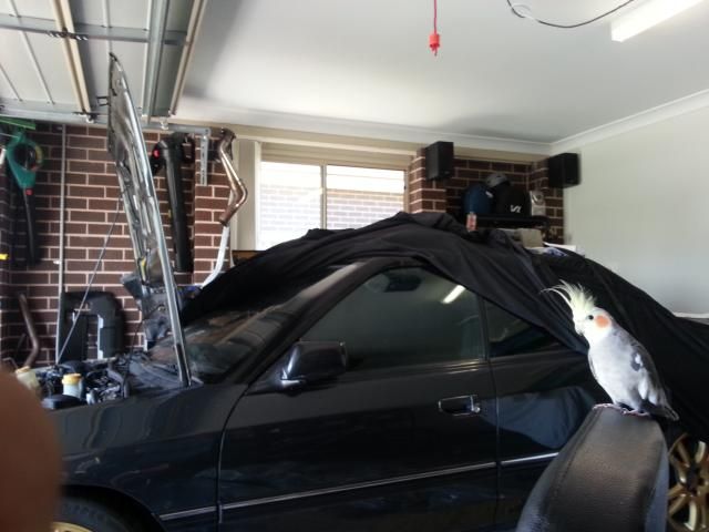 20141124_115804.jpg