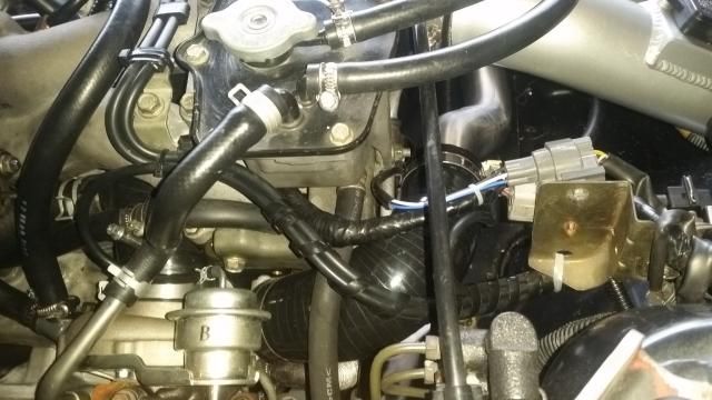 20150302_175223.jpg
