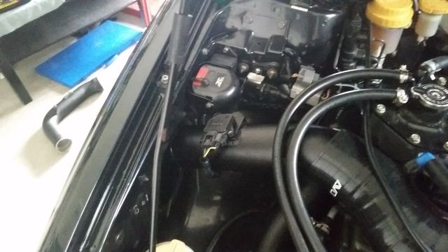 20150724_094809.jpg