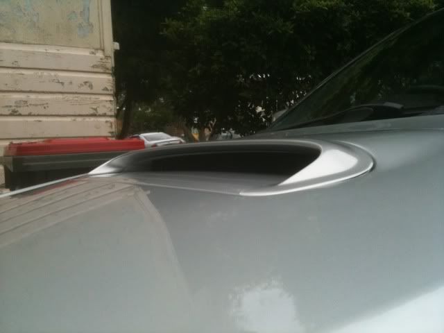 Posted Image