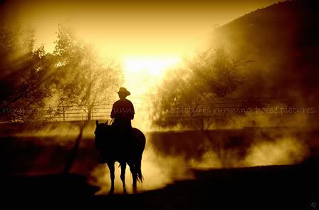 heavenly_cowboy-3.jpg